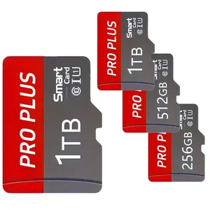 Storage Card with Adapter, Micro TF Micro SD Card, Winter Skiing Season, Track Storage, Equipment Setup Data, Supports Low Temperature Use, Memory Card, Camera Accessories