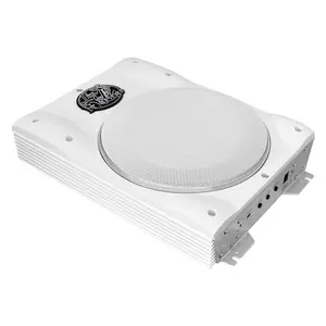 8"1000 Watts Slim Marine Subwoofer System