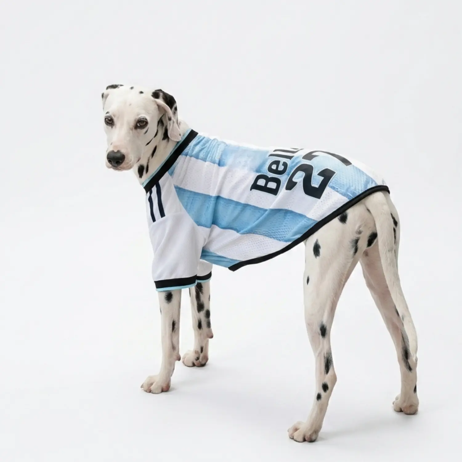 Personalized Custom Name-Number Dog Jersey, Summer Pet Sportswear, 8 Sizes for Small & Large Dogs (Pet Supplies, Shirts & Vests)