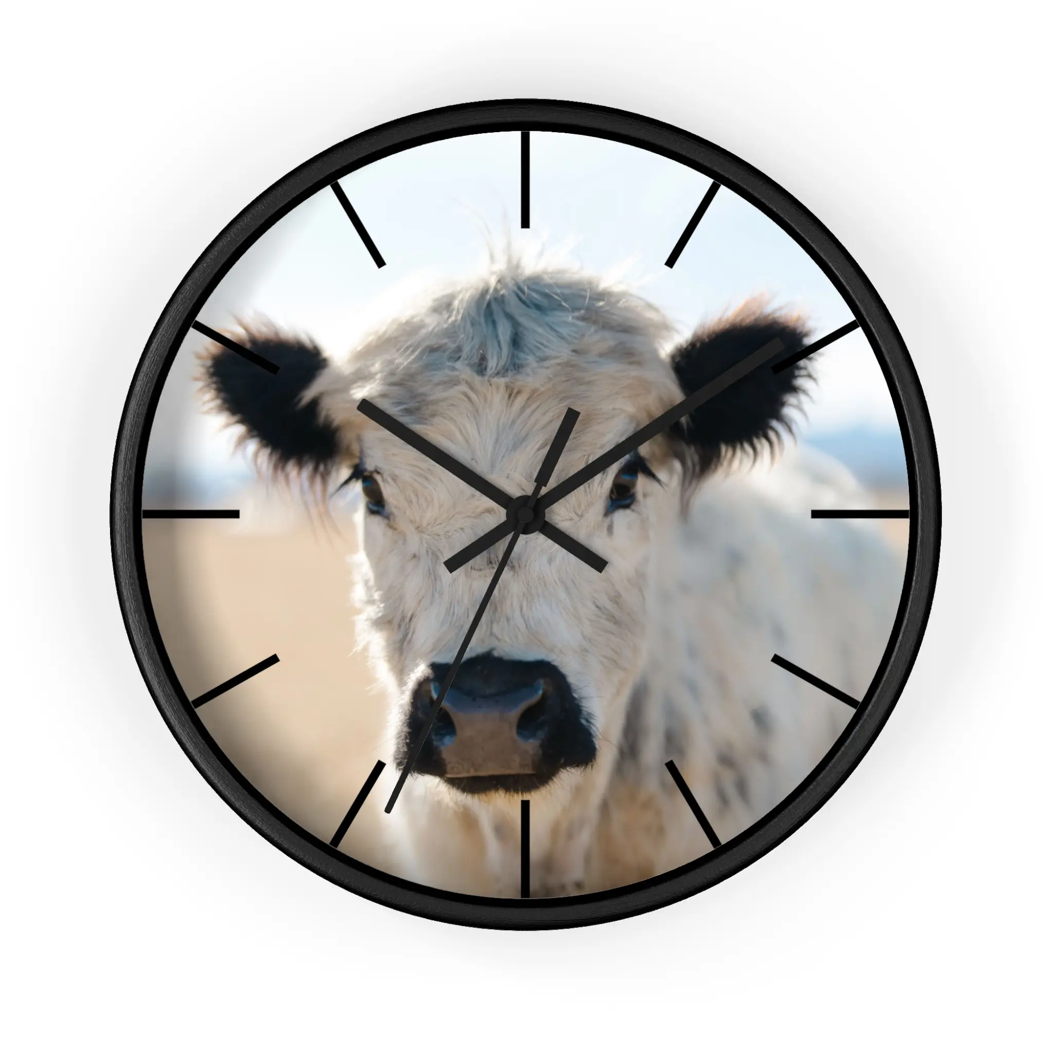 Sophie the Mini Cow, Rustic Farmhouse Cow Wall Clock, Country Decor, Animal Lover Gift, Unique Kitchen Timer, Perfect for Farmhouse Style