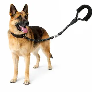 Reflective Slip Lead Dog Leash with Padded Handle, Trending No Collar Needed, Anti-Choking Adjustable Rope Leash for Small Medium Large Dogs poodle shot leash Stainless Steel Martingale Dual LED Retractable hang on harness rope poppy freedom fringe collar