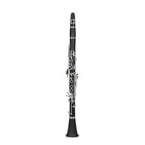 17 Keys Flat B Black Clarinet with Two Mouthpieces Connector for Beginner Student