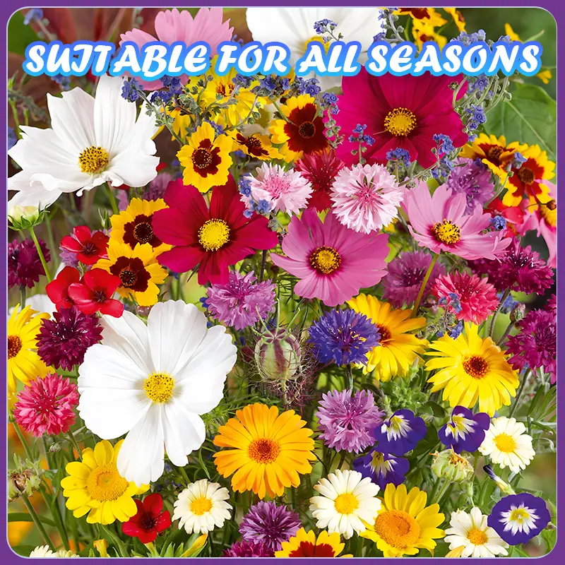 Leaflooms Mixed Flower Seeds - 1000+ Varieties, Easy to Grow, 95%+ Germination Rate, Year-Round Planting, Perfect for Balcony, Garden, & Outdoor Décor