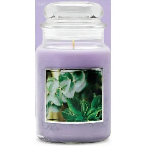 Eucalyptus Mint Scented Candle with Wick - Large Green Glass Apothecary Jar, 21.25 oz Natural Soy Wax Blend, Long-Lasting Refreshing Aromatherapy Freshener, Home Decor Item for Relaxation, Decoration