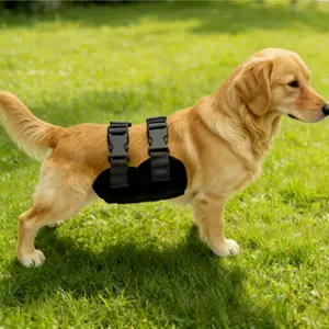 Durable Dog Underwear for Male Dogs, Washable Pet Protection Gear, Anti-Interference Outdoor Wear, Comfortable and Long-Lasting