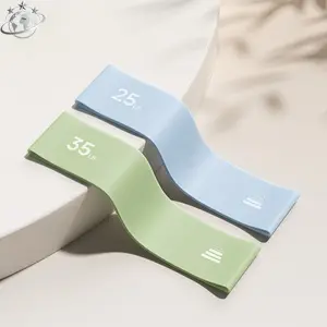 Resistance Loop Exercise Band, Unisex Elastic Workout Band, Suitable for Home Fitness, Stretching, Strength Training, and Physical Therapy (Blue and Green Two Pieces)