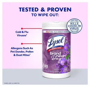 Lysol Disinfecting Wipes Bundle, Home Apartment Dorm Room Essentials and Cleaning Supplies, All Purpose Cleaner, Multi-surface Cleaning & Sanitizing Wipes, Lavender & Mango Scents, 80 Count (4pk)