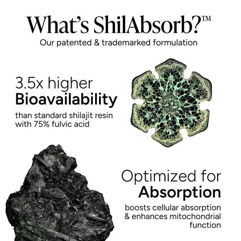 Root Labs Alpha 10-in-1 Shilajit Gummies 4000 mg| Holiday Gift-Ready| Energy, Stamina & Focus| Zero Sugar| KSM-66 Ashwagandha, Tongkat Ali, Maca| Vegan| 60 Count