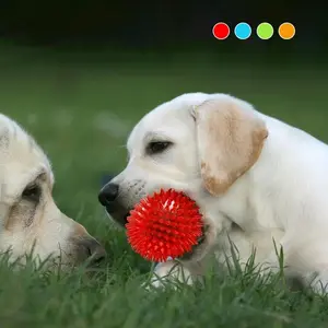 Pet Chew Toy, 1 Count Durable Squeaky Spike Ball, Dog Teething Toy, Interactive Dog Toy, Dog Teeth Cleaning Toy, Pets Dental Care Toy