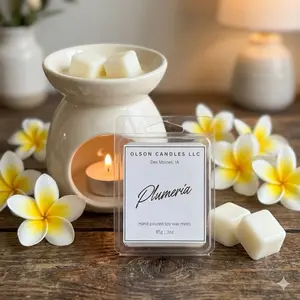 Olson Candles LLC 3 oz Soy Wax Melts - All Natural Strong Scented Fragrance for Home Decor - Cozy Atmosphere & Eco-friendly
