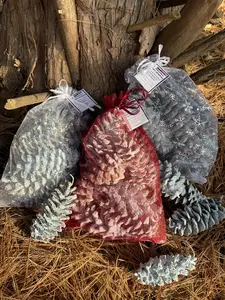 Mystical Pine Cone Fire Starters