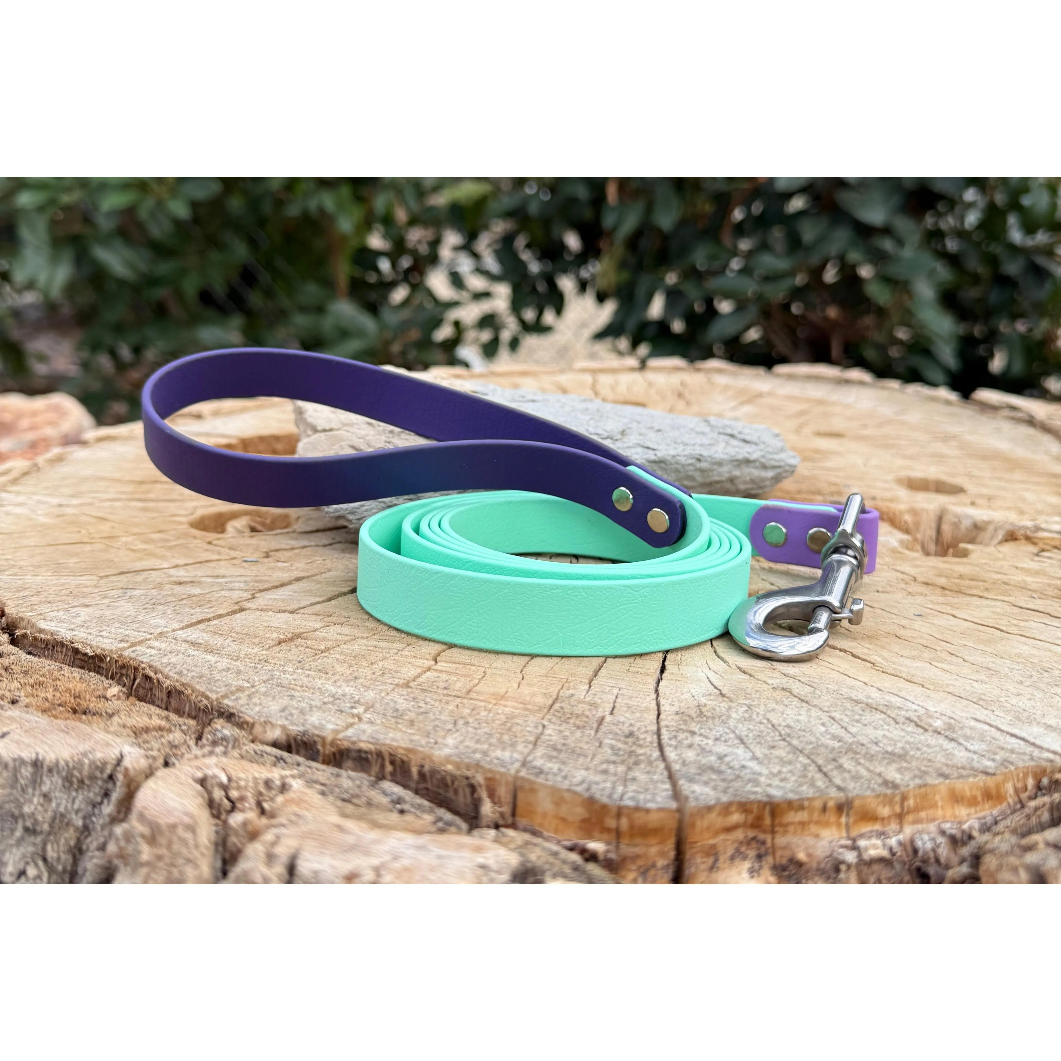 3/4" Biothane® Leash – Strong, Comfortable & Customizable
