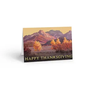 Stonehouse Collection Fall Thanksgiving Card - 18 Thanksgiving Greeting Cards - Happy Thanksgiving Box Set