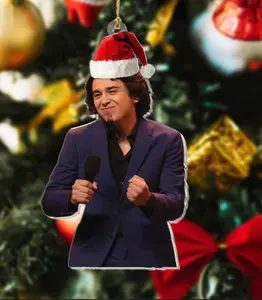 Santa Domingo Meme Ornament, Saturday Night Live, Direct From Domingo, Domingo Snl Ornament, Bridesmaid Speech