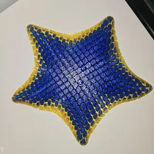 Flexi Star, Sensory Tool / Sensory Aid:and great for stress relief,  "articulated" movement for tactile engagement, color combinations, and  durable, lightweight design.non-toxic, bio-degradable, ensuring safety and environmental consciousness.