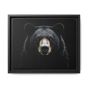 Midnight Edition: Black Bear – Western Canvas Art Wrap – Framed Wall Art