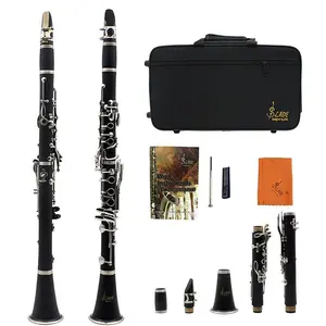 Bb Clarinet, 17 Key Clarinet with Accessories, Woodwind Instrument for Beginners, Musical Instrument for Students, Gift for Music Lovers