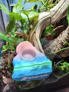 Gecko Reptile Ledge Feeder - Customizable 3D Printed PLA Ledge with Strong Rare Earth Neodymium Magnets, Designed for Lizards, 4 1/4in x 3 1/2in x 2in