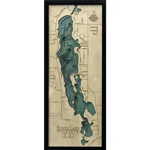 Silver Lake, Michigan Wood Carved Topographic Depth Chart / Map