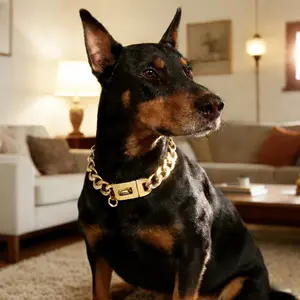 Luxury Cuban Chain Dog Collar, Stainless Steel Pet Leash, Medium to Large Dogs, Includes Tag Buckle and Metal Clasp