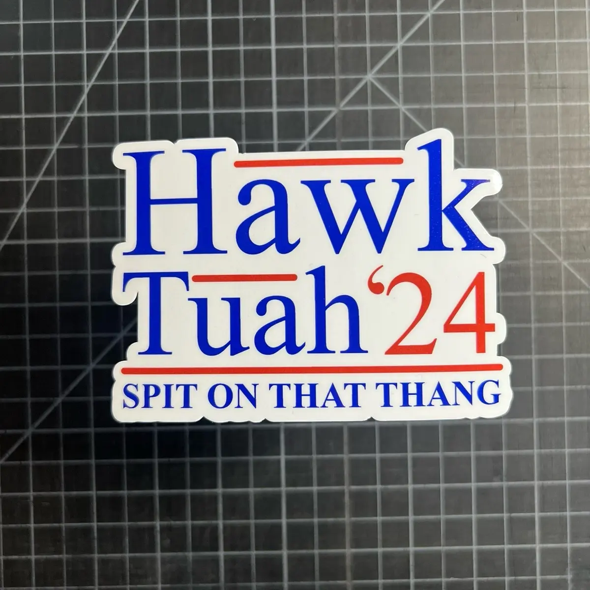 Hawk Tuah ‘24 Stickers