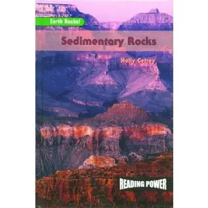USED-Sedimentary Rocks (Earth Rocks!) by Holly Cefrey (Unknown)