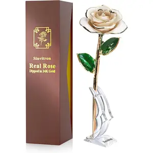 Gold Dipped Infinity Rose Forever Flower Decor, Resin Preserved Real Rose Birthday Gift for Women, Anniversary Present for Mom (Ivory White)