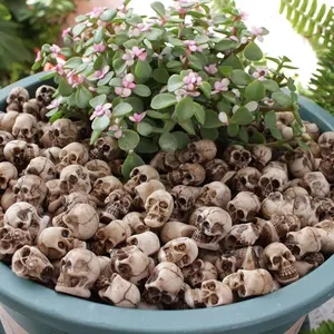 Halloween Mini Skull Decorations, Creative Bonsai Decor with Hand-painted Vintage Resin Craft, Themed Aquariums & Home Scenery Decor, Garden Accessories, Garden Sculptures Statues