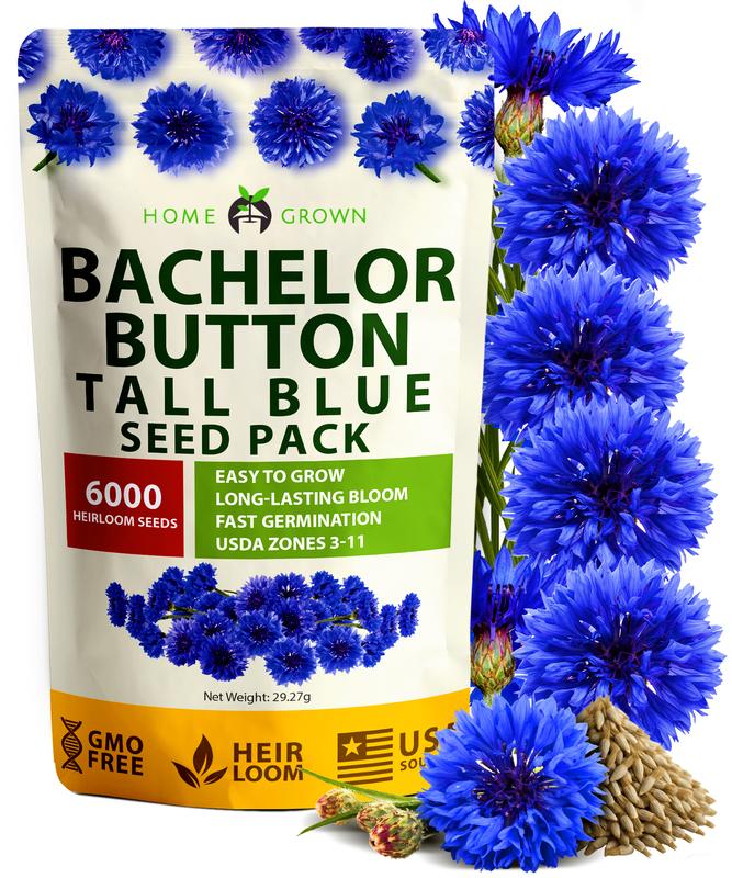 Bachelor’s Button Tall Blue Flower Seeds – 6,000 Heirloom Seeds, Easy ...
