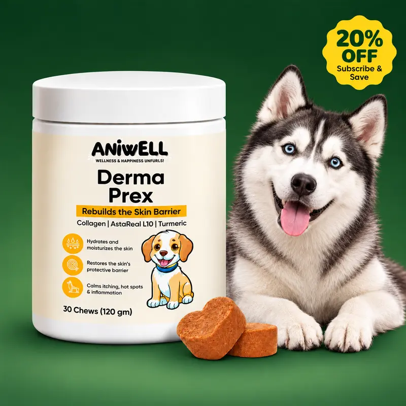 Aniwell DermaPrex for Dogs