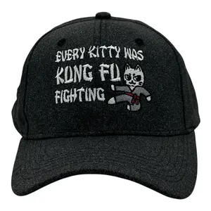 Every Kitty Was Kung Fu Fighting Hat Funny Sarcastic Graphic Novelty Cap Funny Hats Funny Cat  Novelty Caps for Men Black - Standard