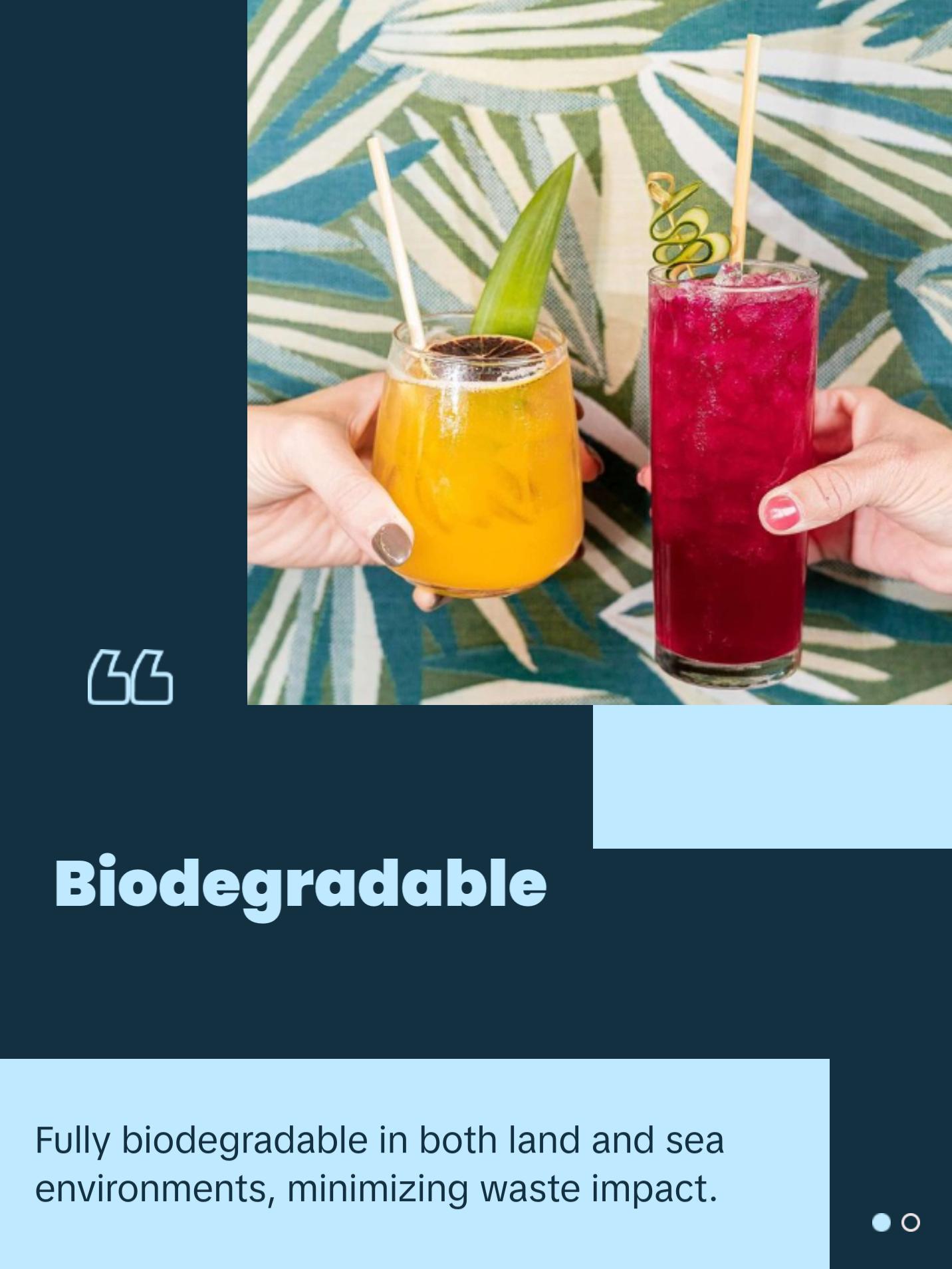 Holy City Straw Co. Tall Wheat Straws | 100-12000ct. | 7.75" | 100% Plant-Based, Never Soggy, Gluten-Free | Sustainable Alternative to Plastic Straws Holy City Straw Co. Tall Wheat Straws | 100-12000ct. | 7.75" | 100% Plant-Based, Never Soggy, Gluten-Free | Sustainable Alternative to Plastic Straws