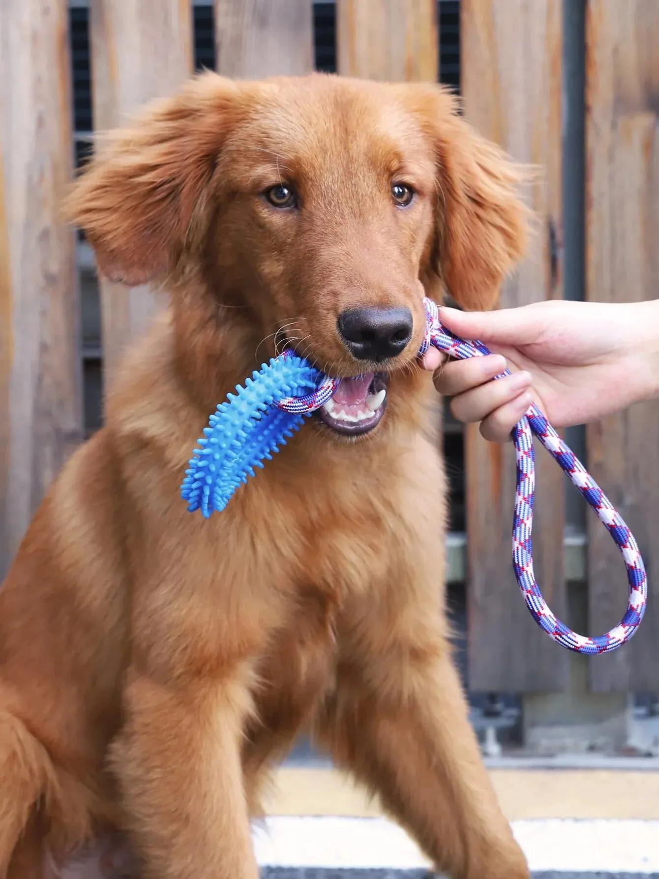 Dog Toys Chew Resistant Nylon Rope Toys Pet Colorful Woven Knot Rubber Toys Dog Self Fun Outdoor Swimming Toys Pet Supplies