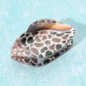SEASHELL BROWN HAIR CLAW