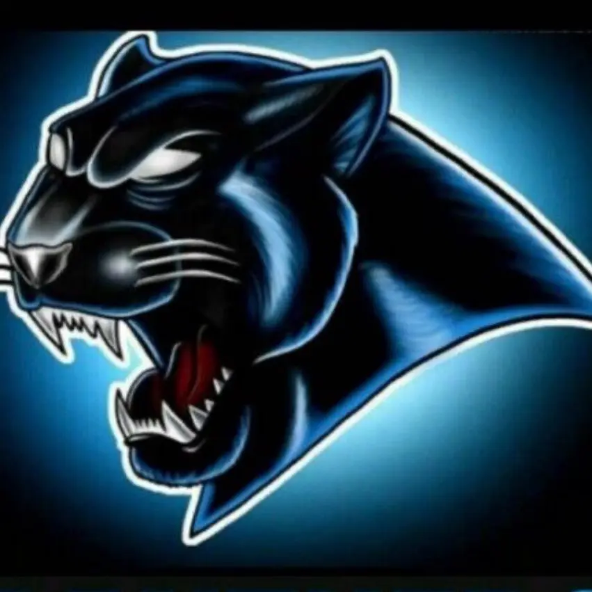 Panthers