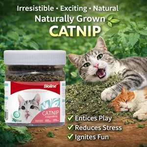 Bioline Premium Catnip 100% Natural Catnip Blend for Play & Enrichment Strong Aroma Safe & Non-Addictive – Supplement for Cat Toys Spray & Accessories (20g / 0.7 oz)