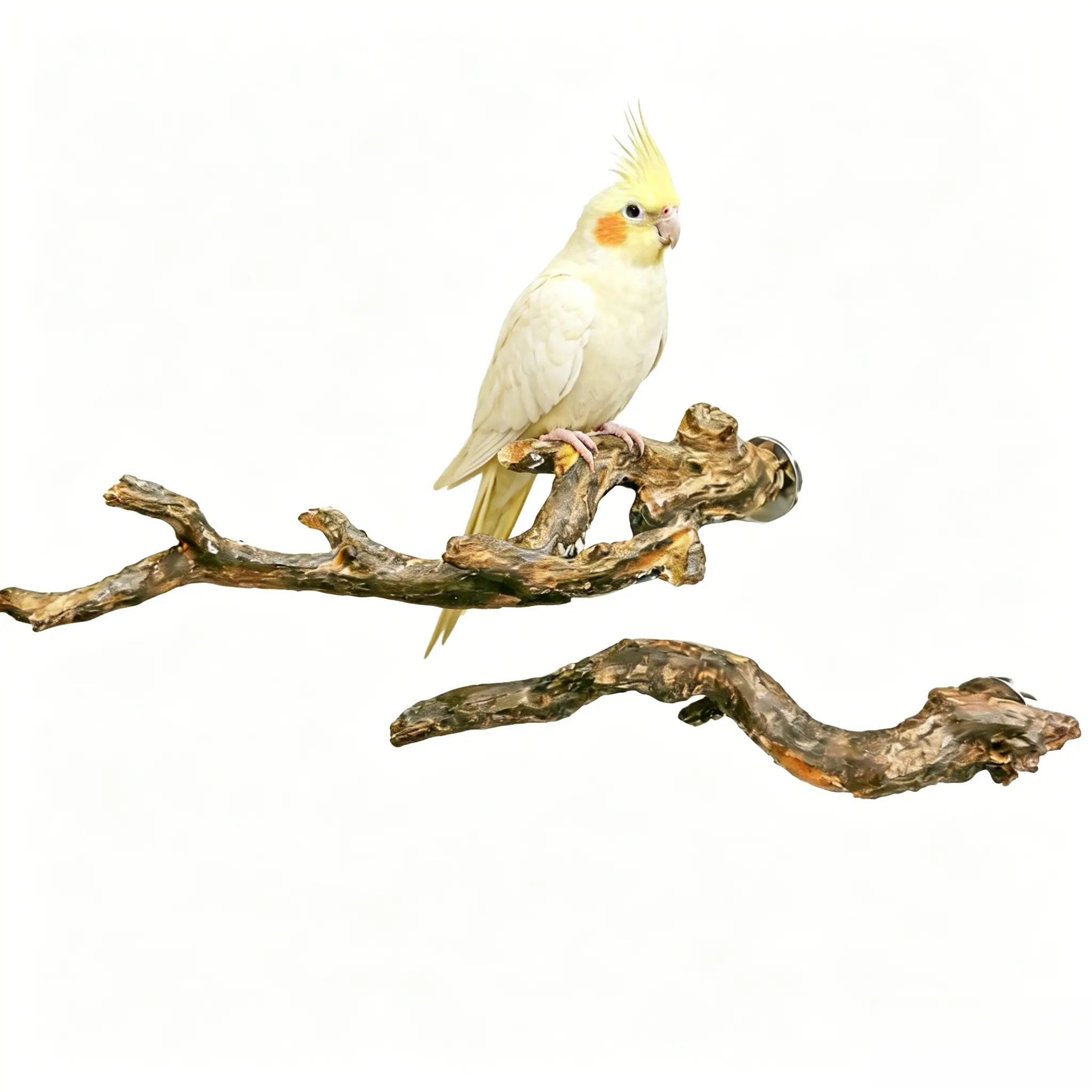 Natural Wood Texture Bird Perch - Resin Classic Universal Bird Cage Branch with Comfortable Standing Platform & Nail Wear Support for Climbing, Resting (Suitable for Budgies, Cockatiels), Encourages Natural Climbing Behavior, Easy Cage Installation