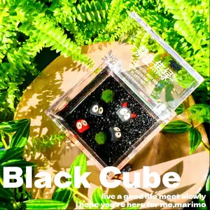 Healing Live Aquarium Plant - Marimo Cube Terrarium, DIY Mini Landscape, Self-Sustaining Closed Ecosystem, Low-Maintenance Habitat for Desk & Home, Soothing Micro-Landscape in Black Cube (Includes LIVELY Moss Ball Pet)