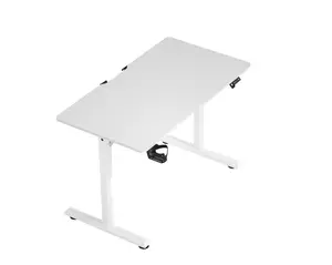 Intexca Electric Standing Desk White, 110 x 60 cm Steel Adjustable Height Desk, Quick Assembly, Ultra-Quiet Motor - V3-1160