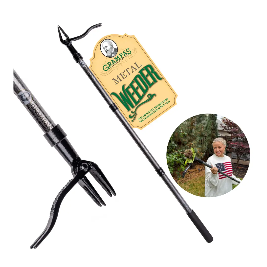Grampa's Weeder Metal Garden Hoe - Garden Supplies, All-Steel Long Handle (All-Steel Resists Daily Wear), 4-Claw Head, 3-Pieces Twist-To-Assemble Design for Bendfree Weeding, Kneelfree Pulling
