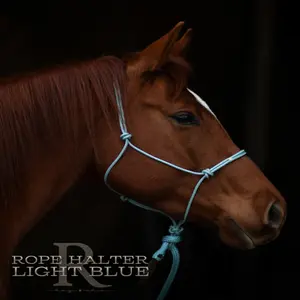 Hay Chix Redemption Rope Halter Average Horse - Light Blue