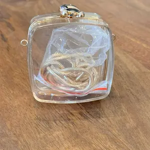 Transparent Mini Clutch