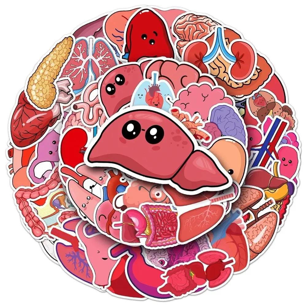 50 Pack of Human Anatomy and Healthcare Stickers and Decals. Waterproof. No Duplicates