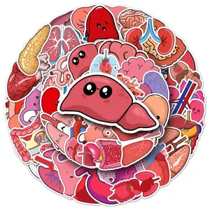 50 Pack of Human Anatomy and Healthcare Stickers and Decals. Waterproof. No Duplicates