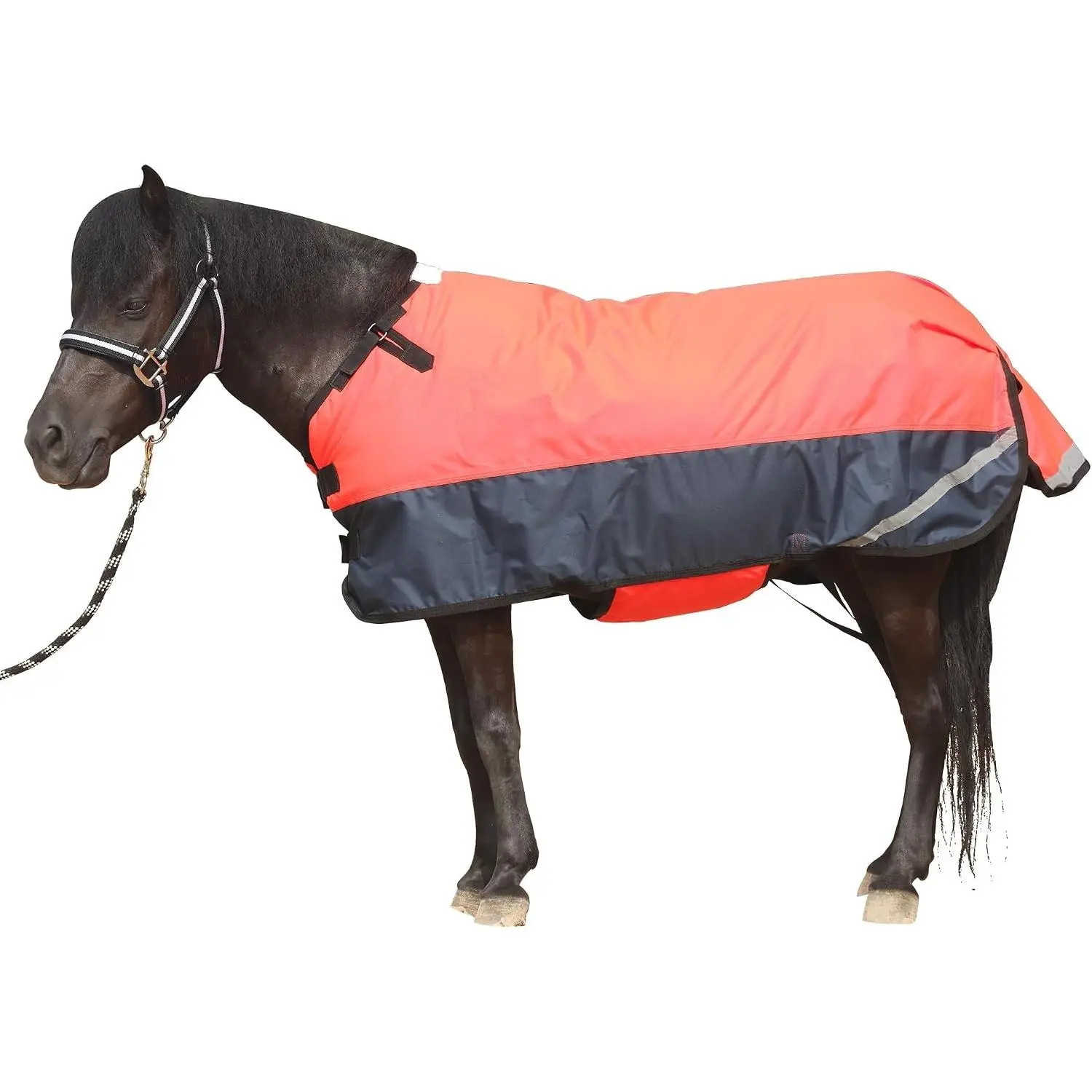 300D Foal/Mini/Pony Horse Blanket, 150g Waterproof Winter Turnout | 300D Outer, Waterproof Breathable Shell, 150g Fill Warmth, Smooth Lining, Adjustable Neck Fit, Hook-and-Loop, Full Belly Wrap