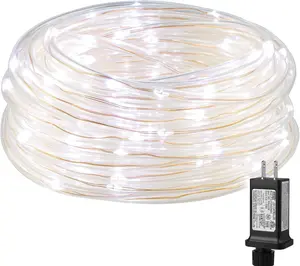 Lighting EVER Plug in Rope Lights with Small Tube, 1/4 in Pencil-Size, 100 LED Copper Wire String Lights in 33 ft Tube, Cool White 6000K, Thin Light Rope for Railing, Fence, Balcony, Not Connectable