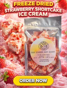 Strawberry Shortcake Ice Cream Crunches - Freeze dried Ice cream