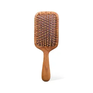 Hollow Hair Detangling Brush, 1 Piece Wet & Dry Hair Detailing Comb, Scalp Massage Comb, Curl Hair Detangling & Styling Tool for Men & Women Smooth