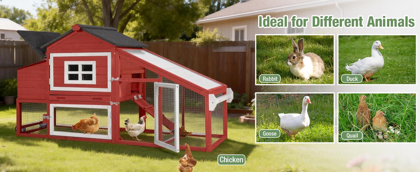 Aivituvin-AIR23R-Wooden Chicken Coop on Wheels for 2-3 Hens-Chicken Coop