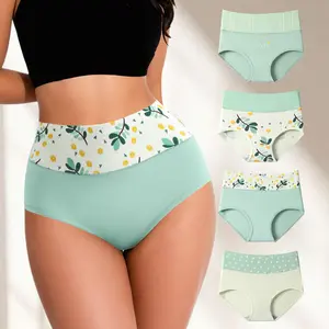 HOTCOM 4-Pack Women's High Waisted Cotton Panties |  Elastic Waist Soft Full Coverage Hip Briefs, Ladies Lingerie Womenswear, Regular & Plus Size